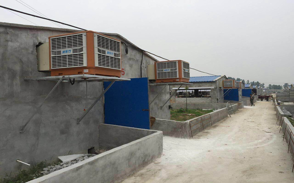 一定要關(guān)注！今天正式拉開瑞昌2016養(yǎng)豬場通風降溫旺季序幕！